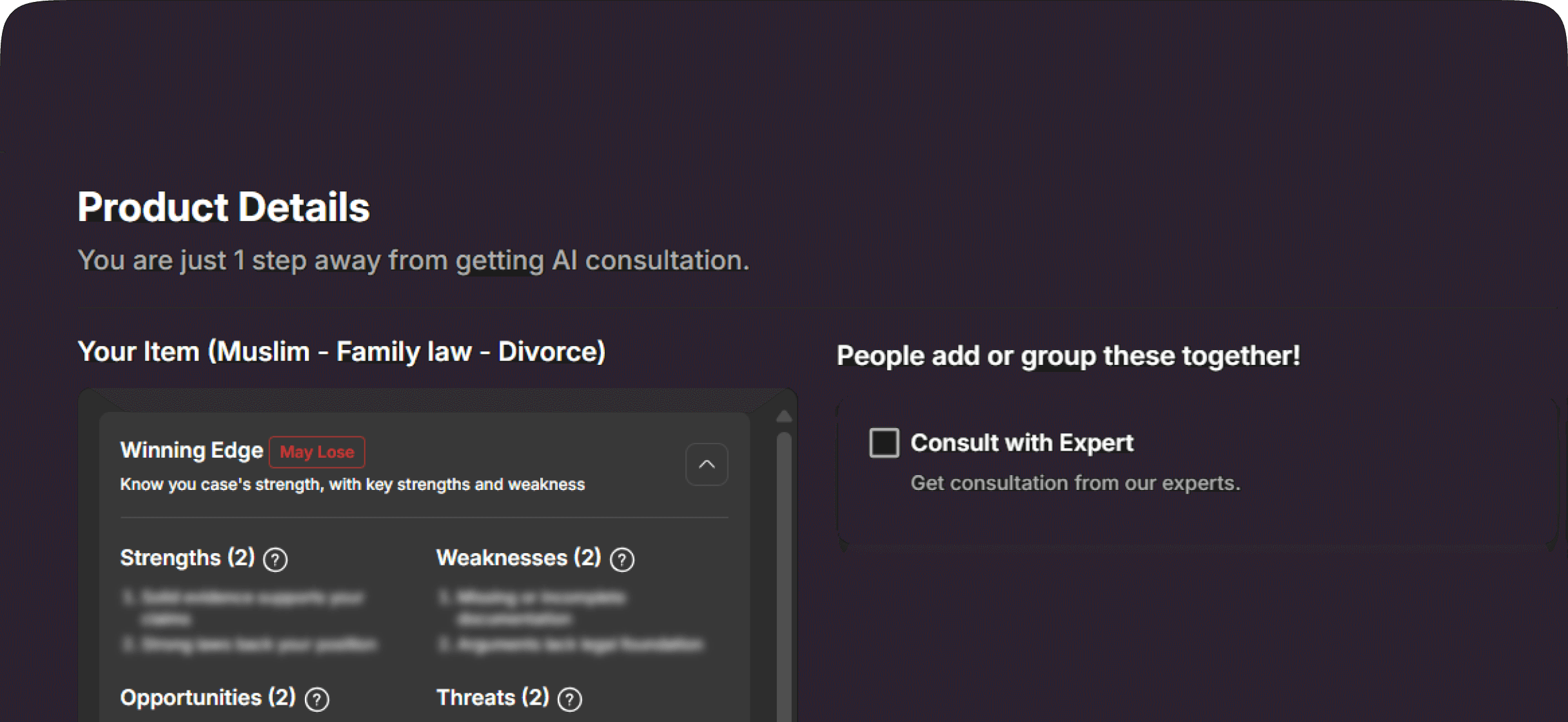 Virtual Legal Consultation