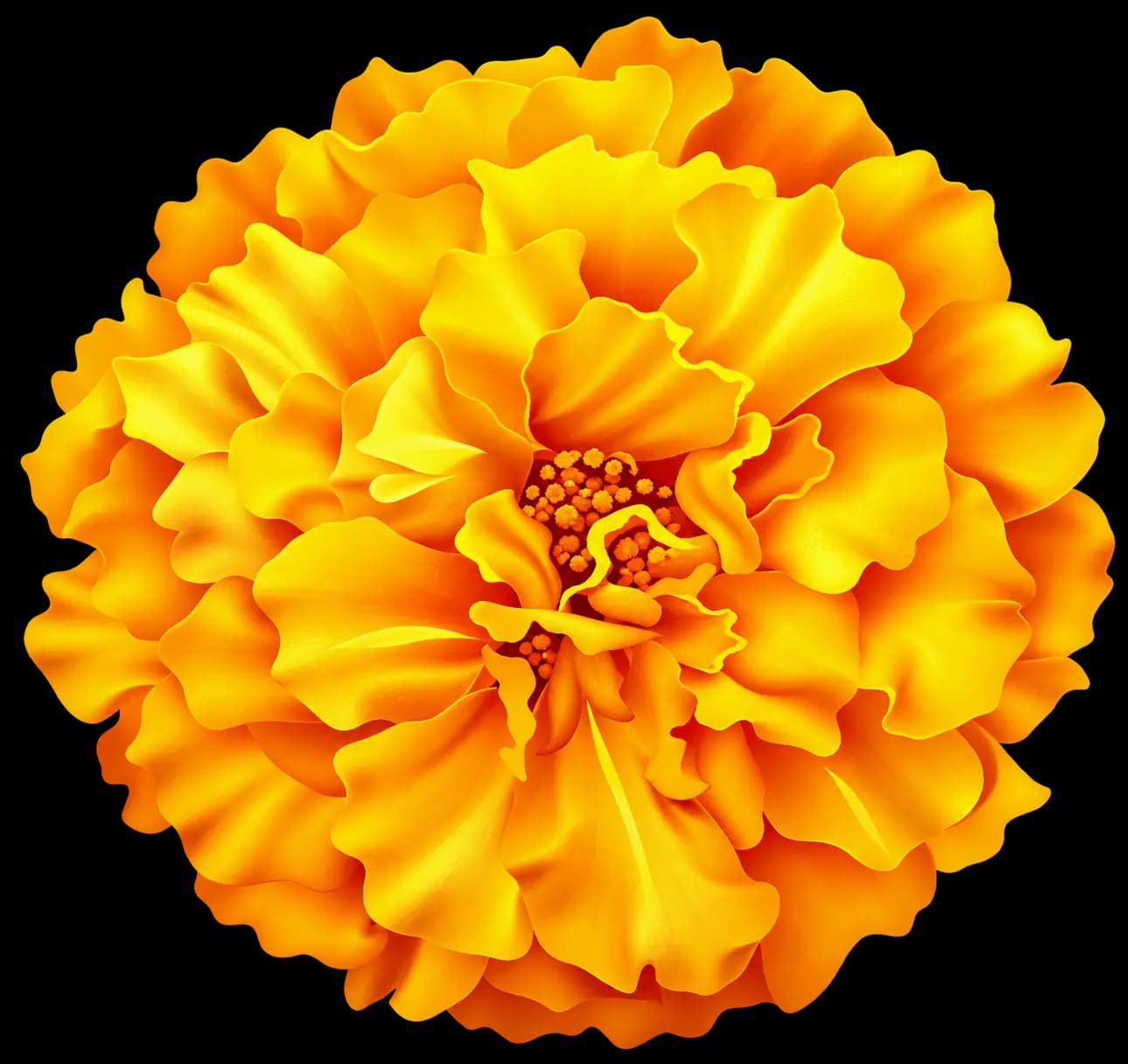 Golden flower